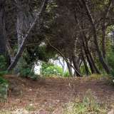 ...e che conduce, dopo circa 300 metri, all�inizio di un viale alberato che corre parallelo a Lama Giotta